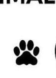 Cat track outline