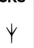 Crow track outline
