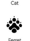 Ferret track outline