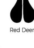 Red Deer track outline