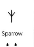 Sparrow track outline