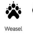Weasel track outline