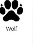 Wolf track outline